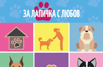 Ротаракт клуб Велико Търново стартира кампанията „За лапичка с любов”