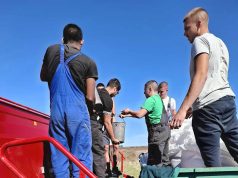 Възпитаници на ПГАТ „Цанко Церковски“ засяха над 5 тона пшеница за ден