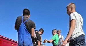 Възпитаници на ПГАТ „Цанко Церковски“ засяха над 5 тона пшеница за ден