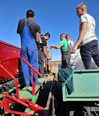 Възпитаници на ПГАТ „Цанко Церковски“ засяха над 5 тона пшеница за ден