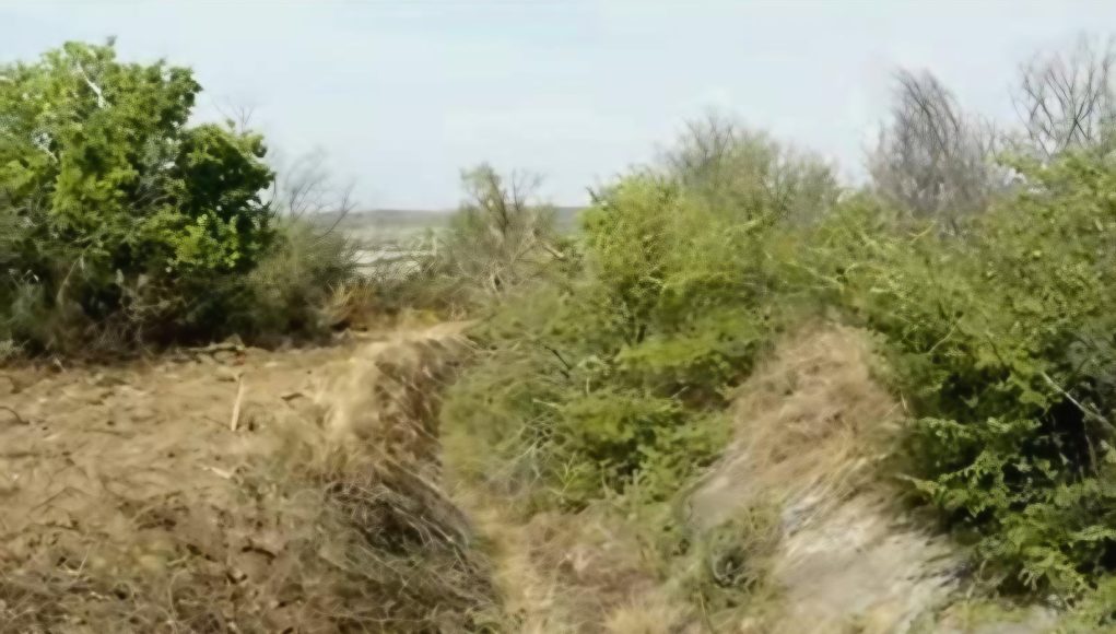 Започна почистването на 30 км напоителен канал от яз. „Александър Стамболийски“