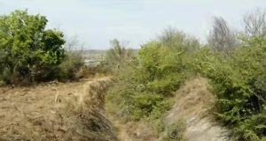 Започна почистването на 30 км напоителен канал от яз. „Александър Стамболийски“