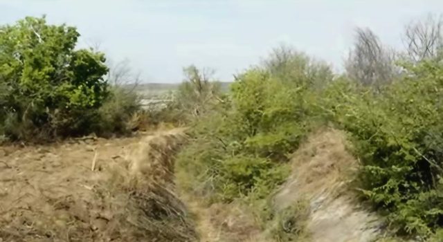 Започна почистването на 30 км напоителен канал от яз. „Александър Стамболийски“